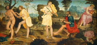 Apollon et Marsyas - Michelangelo Anselmi
