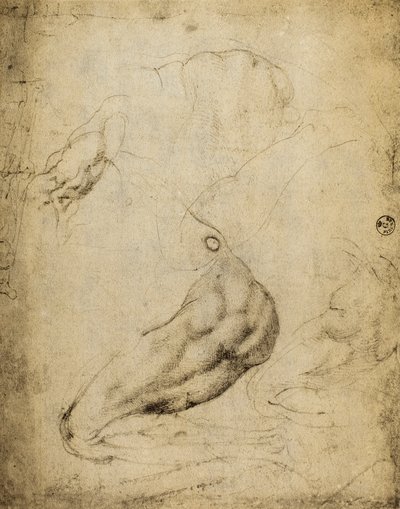 Étude anatomique - Michelangelo Buonarroti
