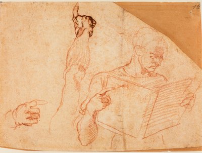 Étude de figure pour le 