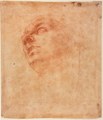 Étude de tête pour le Jonas de la Sixtine - Michelangelo Buonarroti