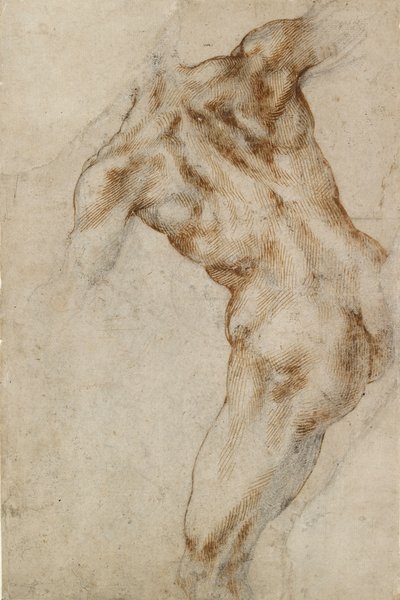 Torso masculin nu - Michelangelo Buonarroti