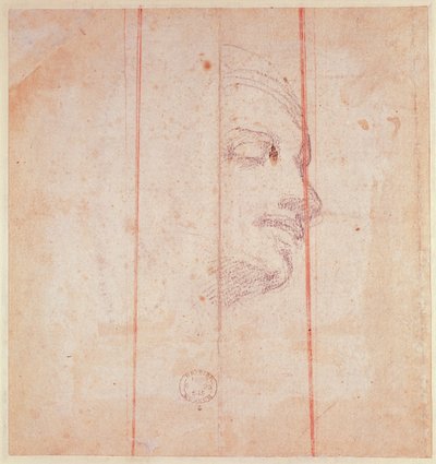 Étude pour la tête de la Sibylle libyenne - Michelangelo Buonarroti
