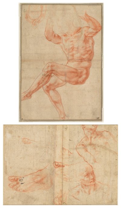 Étude pour le jeune homme nu au-dessus du prophète Daniel (recto); Études de figures pour le plafond de la chapelle Sixtine (verso) - Michelangelo Buonarroti