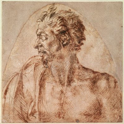 Étude de tête et épaules - Michelangelo Buonarroti