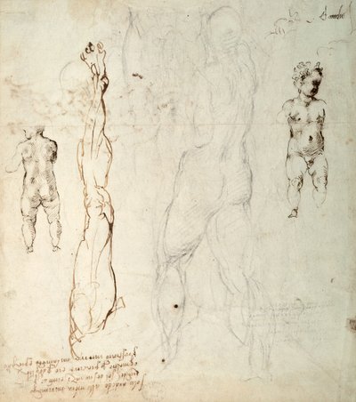 Étude de l
