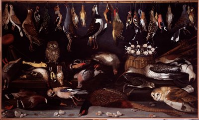Nature morte avec oiseaux - Michelangelo Merisi da (attr. to) Caravaggio