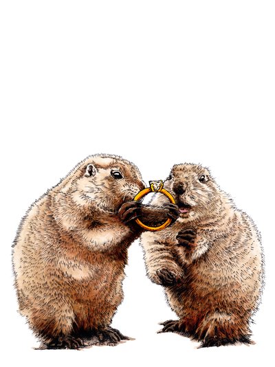 Chiens de Prairie Fiancés sur Blanc, 2020 - Mike Davis