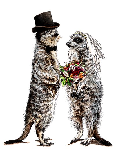 Suricates Mariés sur Blanc, 2020 - Mike Davis