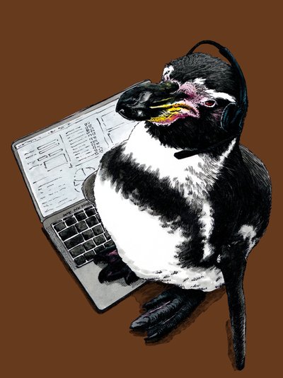 Nouveau Job Pingouin sur Orange Brûlé, 2020 - Mike Davis