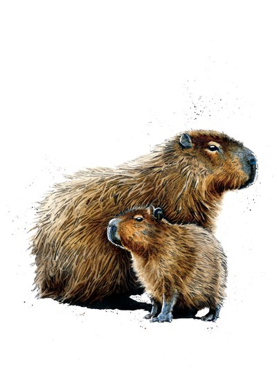 Les Capybaras sur blanc, 2019 - Mike Davis