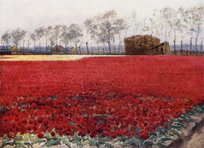 "Dont les feuilles avec leur éclat cramoisi cachent le cœur qui brûle et noircit en dessous" - Mima Nixon