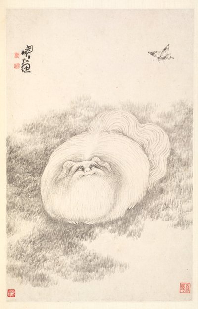 Chat et papillon, 1788 - Min Zhen