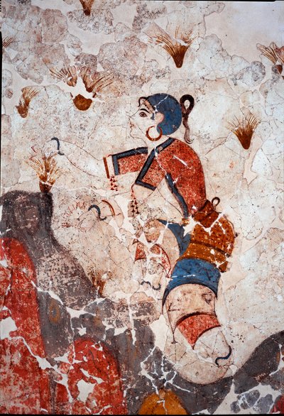Civilisation minoenne: femmes cueillant du safran. Détail d