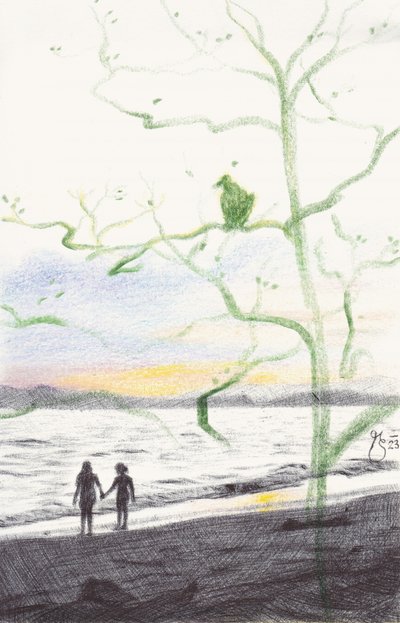 Coucher de soleil à Green Tree Beach - Mirjam Schrei