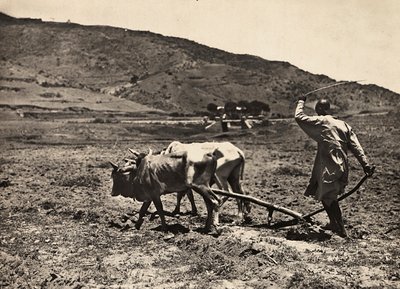Construire un empire à l