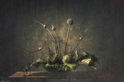 Nature morte botanique sombre - Monique van Velzen