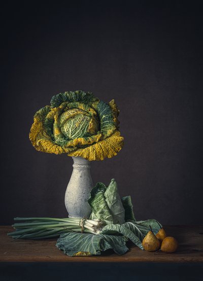  - Monique van Velzen