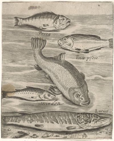 Feuille d