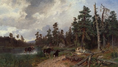 Orignal et chasseurs dans une forêt de pins - Morten Muller