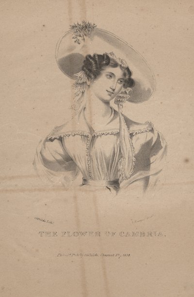 La fleur de Cambria, lithographie par C.G. Childs, 1830 - Moses Swett