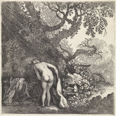 Femme se baignant, vue de dos - Moyses van Wtenbrouck