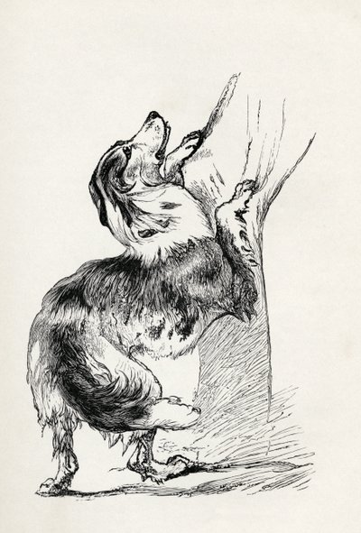 Chien de berger métis caressant son maître, tiré de 
