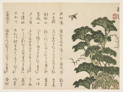 Grand arbre et oiseaux, vers 1830-44 - Murata Kagen