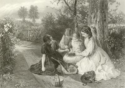 Un festin de cerises - Myles Birket Foster