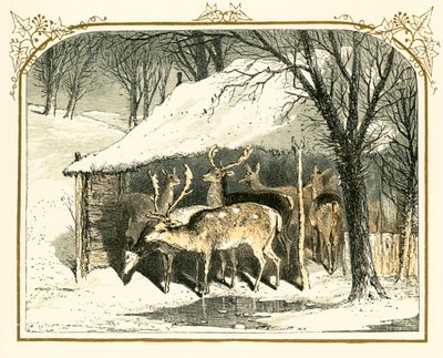 Cerfs dans la neige - Myles Birket Foster