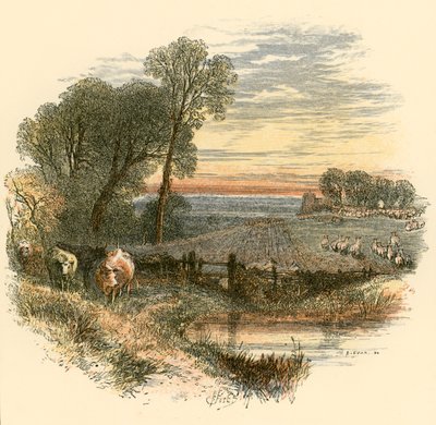 Dimanche - Myles Birket Foster