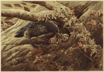 Une crèche bruyante - N. Parker