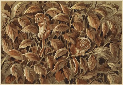 Dorothy, Dick et le loir - N. Parker
