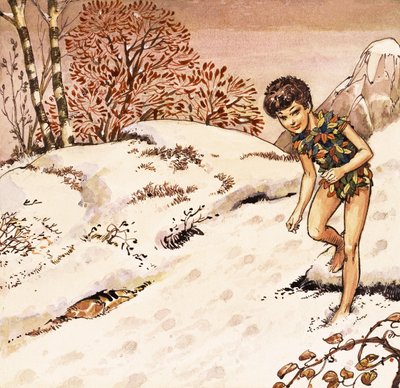 Peter Pan - Nadir Quinto