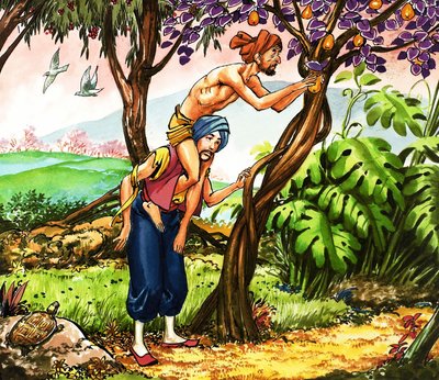 Sinbad le marin - Nadir Quinto