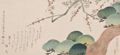 Pin et fleur de prunier, 1810-30 - Nakamura Hochu