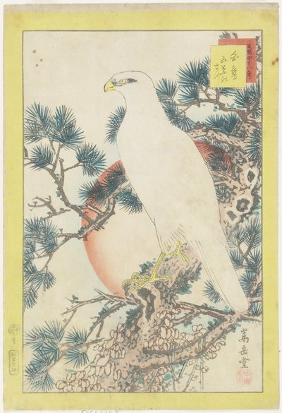 No. 1, Faucon blanc et pin à cinq aiguilles - Nakayama Sugakudo