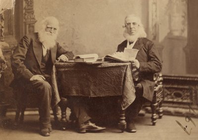 William Cullen Bryant et Peter Cooper - Napoleon Sarony