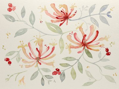 Délicates aquarelles botaniques - Natalie Bruns