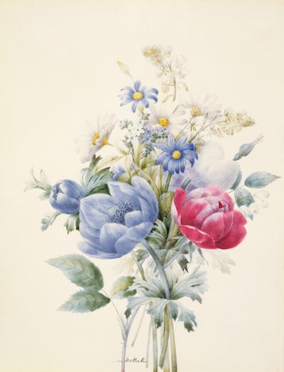 Une rose, anémone, réséda et marguerites - Nathalie d