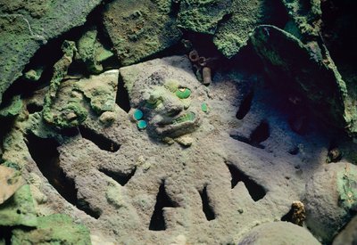 Hochet en cuivre doré du dieu décapiteur dans la tombe royale Moche du Vieux Seigneur de Sipan - Nathan Benn