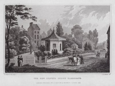 La nouvelle source de soufre, Harrogate - Nathaniel (after) Whittock
