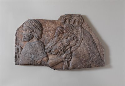 palefrenier étranger dans une procession tributaire, vers 721-05 av. J.-C. (albâtre de gypse) - Neo Assyrian Neo Assyrian