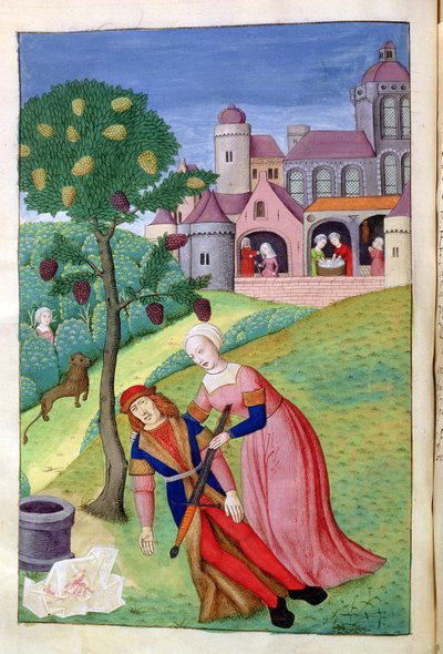 Ms 324 f.44 v. Alcithoe, Pyrame et Thisbé, le mûrier change de couleur, des Métamorphoses d