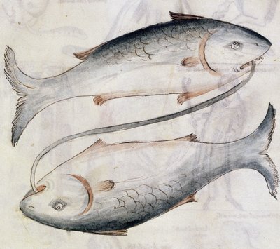Sloane 3983 Dessin de Poissons, d