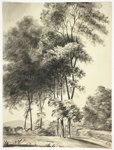 Arbres avec montagnes au loin - Nicholas Pocock