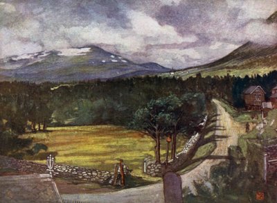 Norvège : Montagnes enneigées à Aune - Nico Jungman