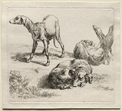 Animalia : Trois chiens de chasse - Nicolaes Berchem