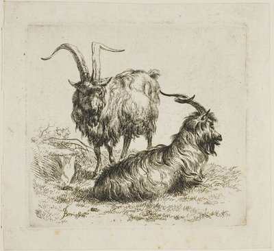 Deux chèvres aux grandes cornes, de Divers animaux - Nicolaes Berchem