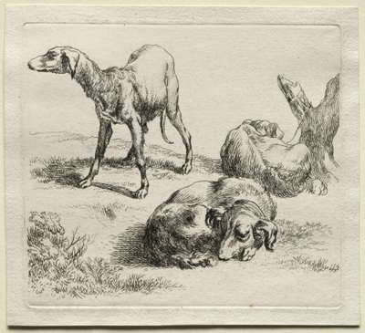 Trois chiens de chasse - Nicolaes Pietersz. Berchem
