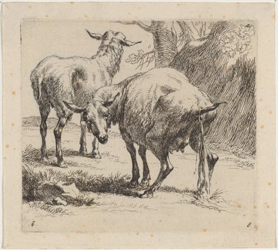 Deux moutons, un pissant - Nicolaes Pietersz Berchem